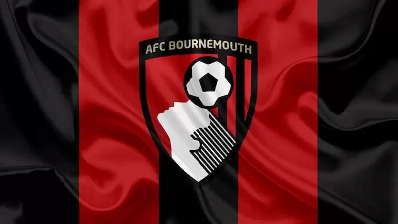 Lịch sử và quá trình phát triển sự nghiệp của đội bóng