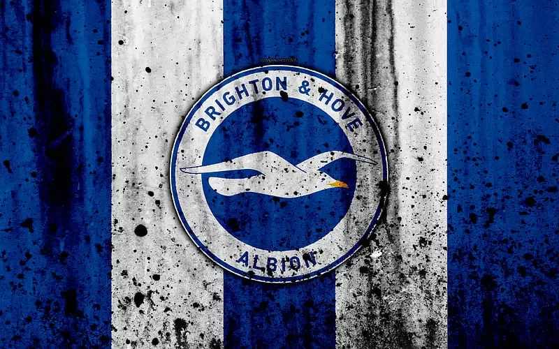 Brighton Hove Albion: Lịch sử, danh hiệu và những huyền thoại