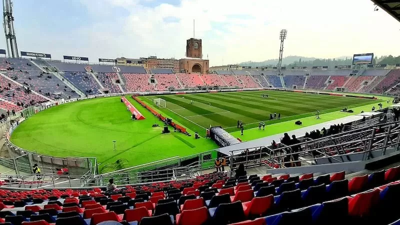 Sân bóng chủ nhà của những chú chó săn thỏ