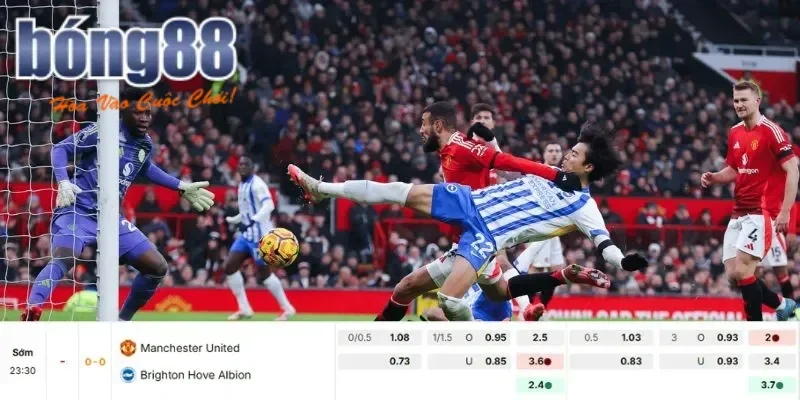 Manchester United vs Brighton hiện cực kỳ khát điểm