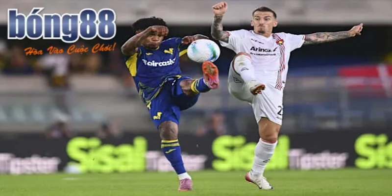 Đội hình dự kiến ra sân trận Hellas Verona vs Cremonese