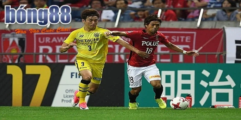 Xem xét thành tích đối đầu giữa Vissel Kobe vs Kashiwa Reysol
